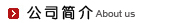 公司簡(jiǎn)介
